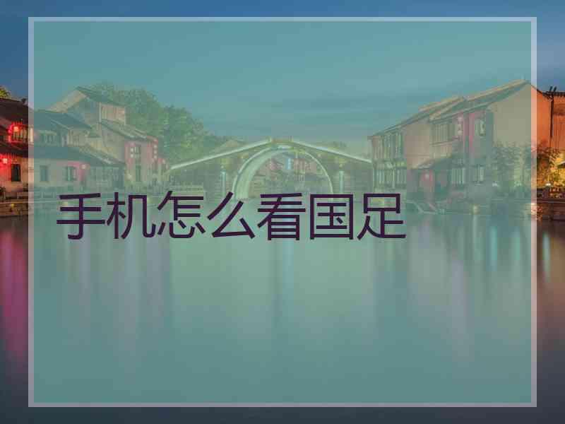 手机怎么看国足