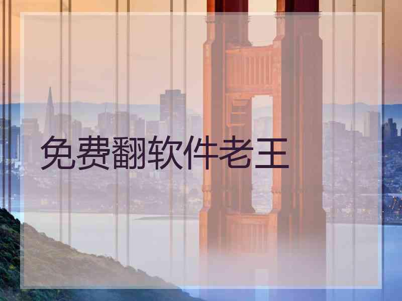 免费翻软件老王