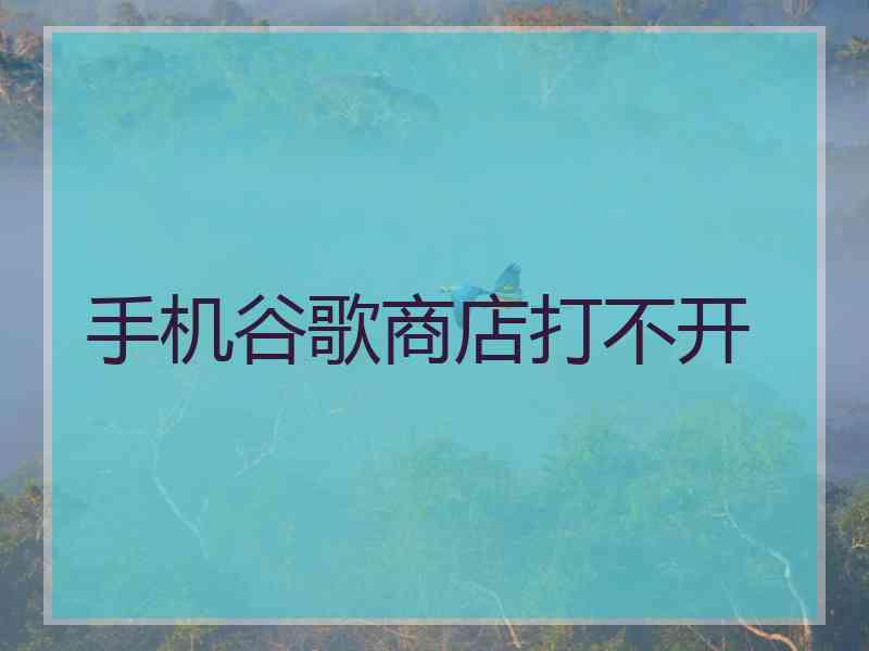 手机谷歌商店打不开