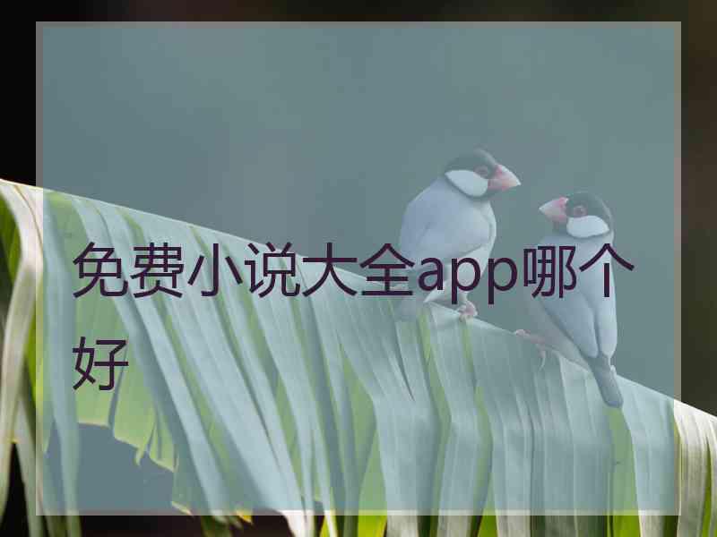 免费小说大全app哪个好