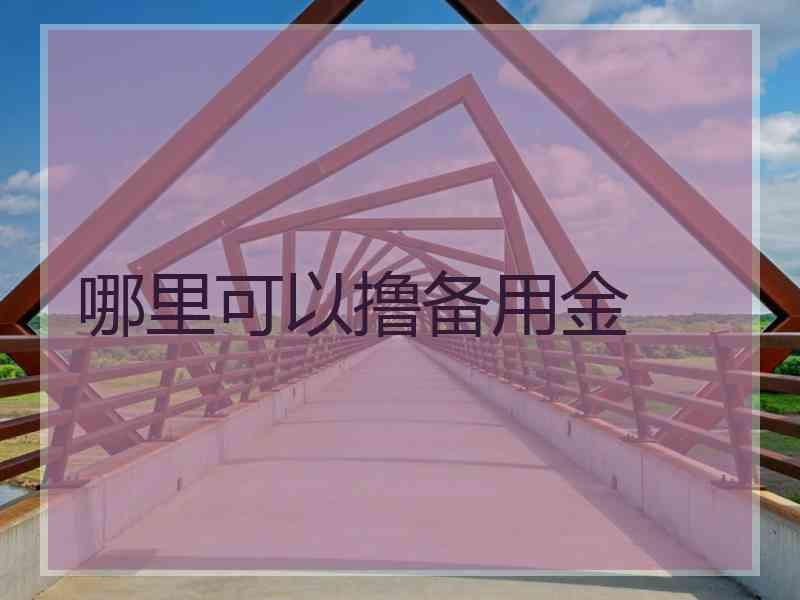 哪里可以撸备用金
