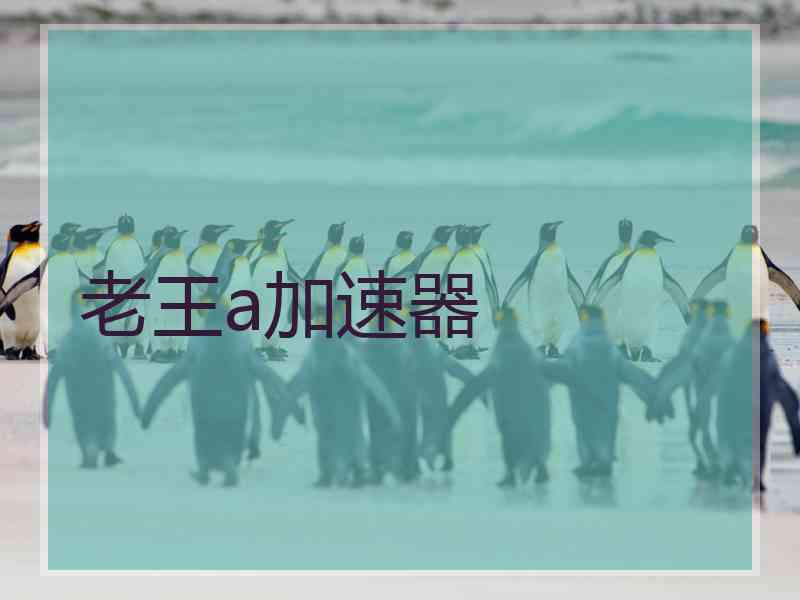 老王a加速器