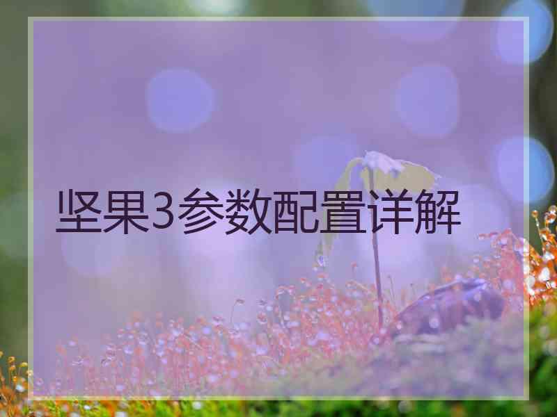 坚果3参数配置详解