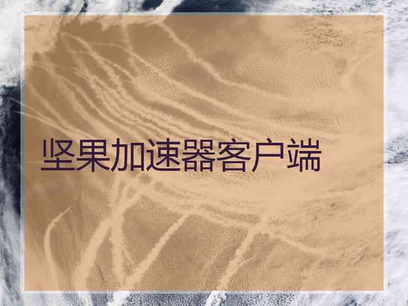 坚果加速器客户端