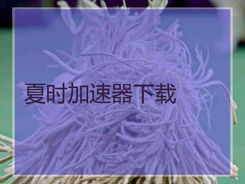 夏时加速器下载