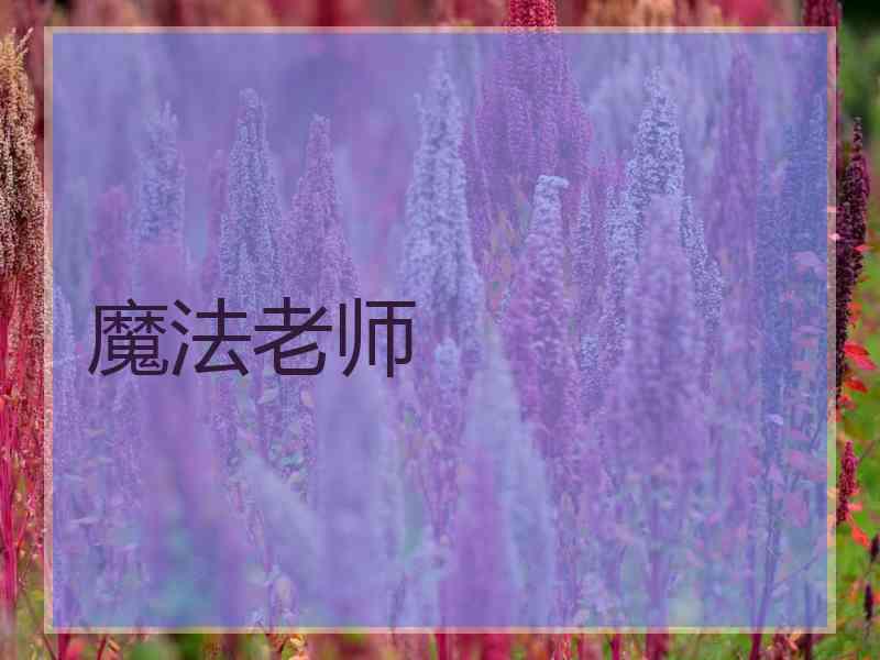 魔法老师