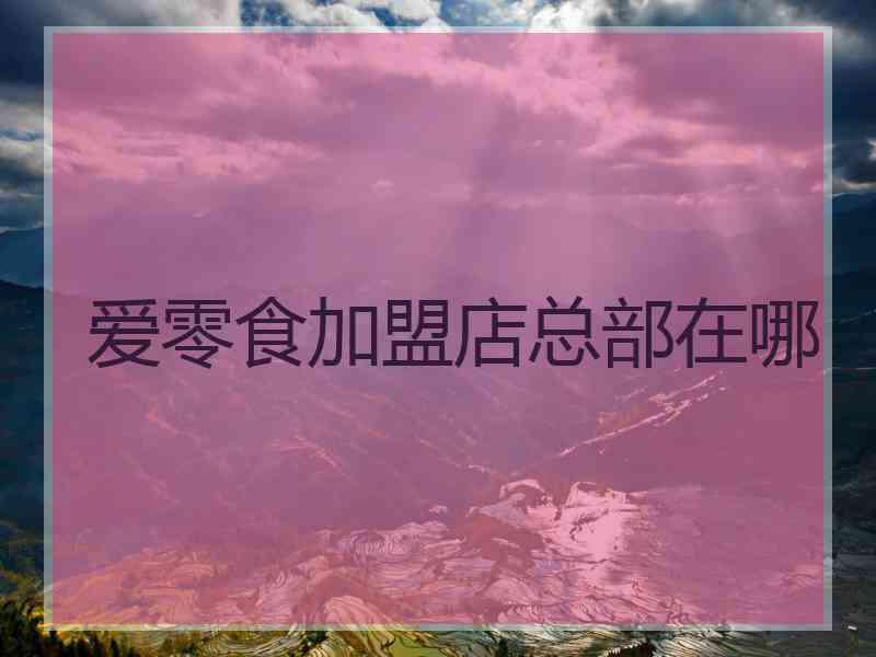 爱零食加盟店总部在哪