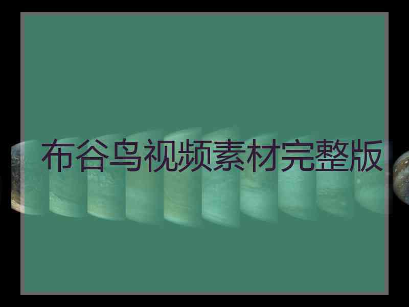 布谷鸟视频素材完整版