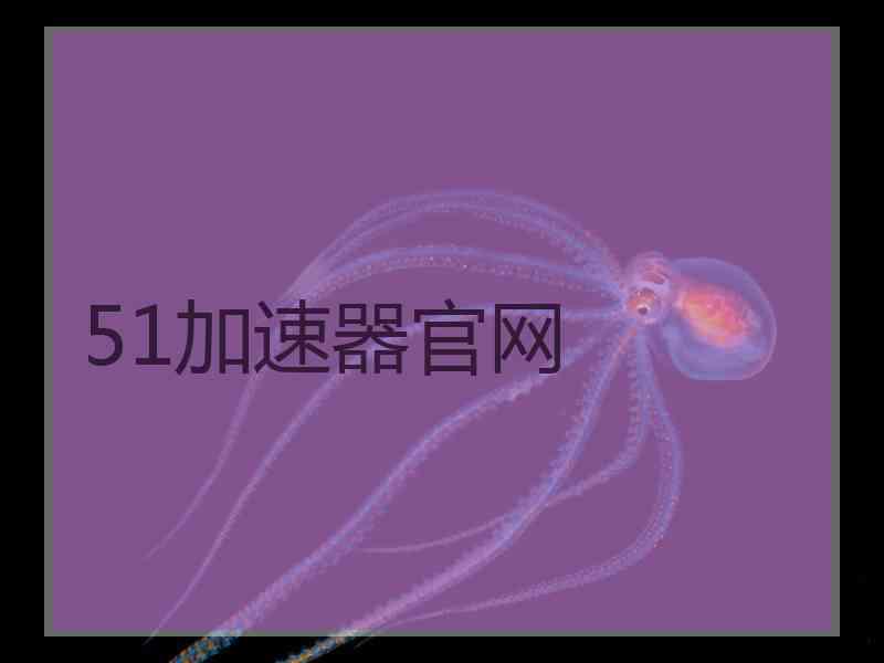 51加速器官网