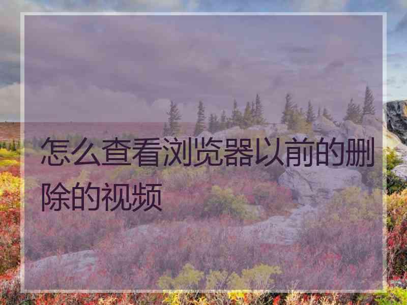 怎么查看浏览器以前的删除的视频
