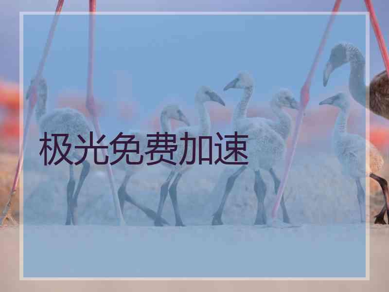 极光免费加速