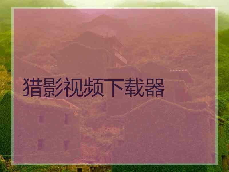 猎影视频下载器