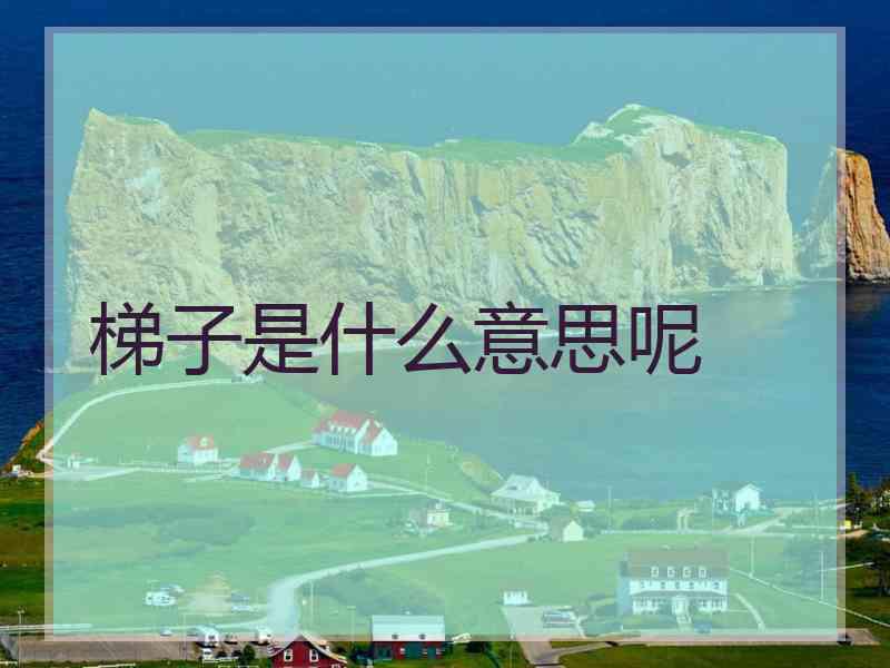 梯子是什么意思呢