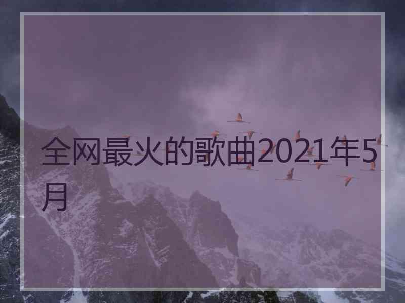 全网最火的歌曲2021年5月