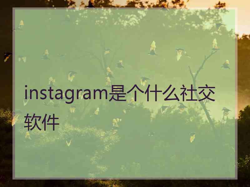 instagram是个什么社交软件