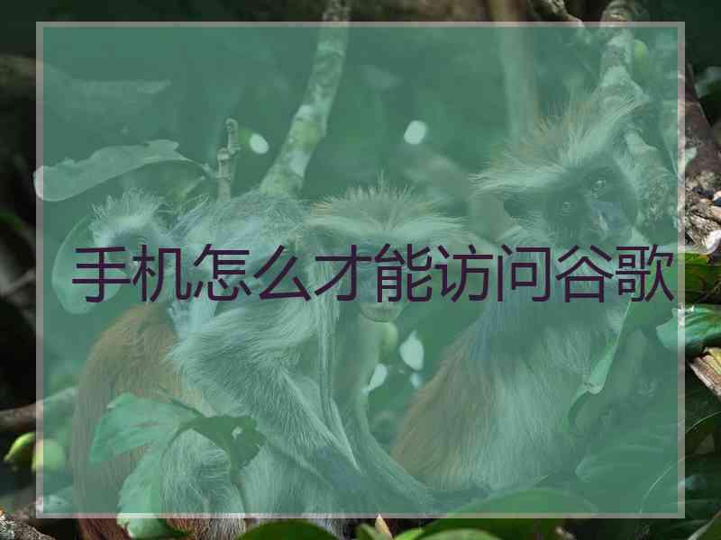 手机怎么才能访问谷歌