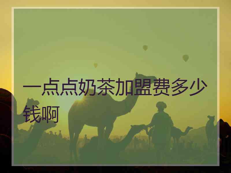 一点点奶茶加盟费多少钱啊