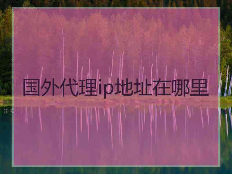 国外代理ip地址在哪里