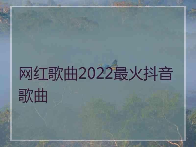 网红歌曲2022最火抖音歌曲