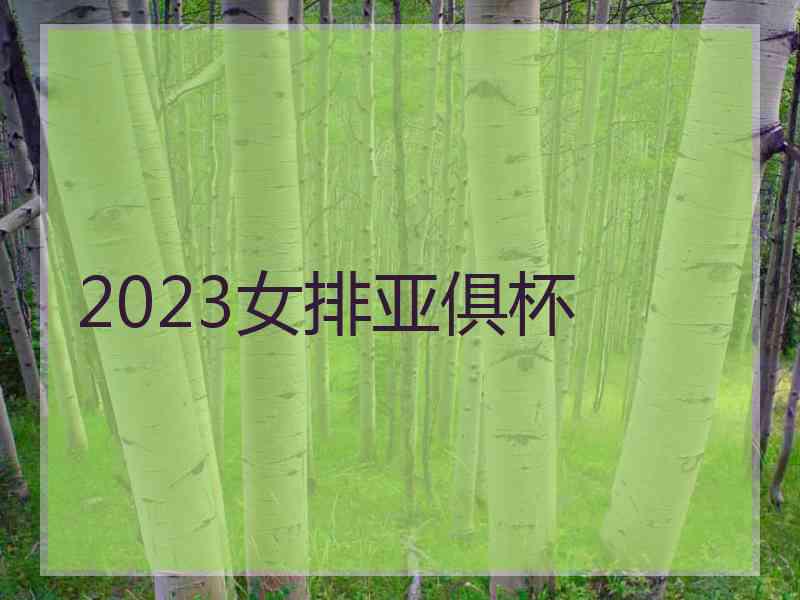 2023女排亚俱杯
