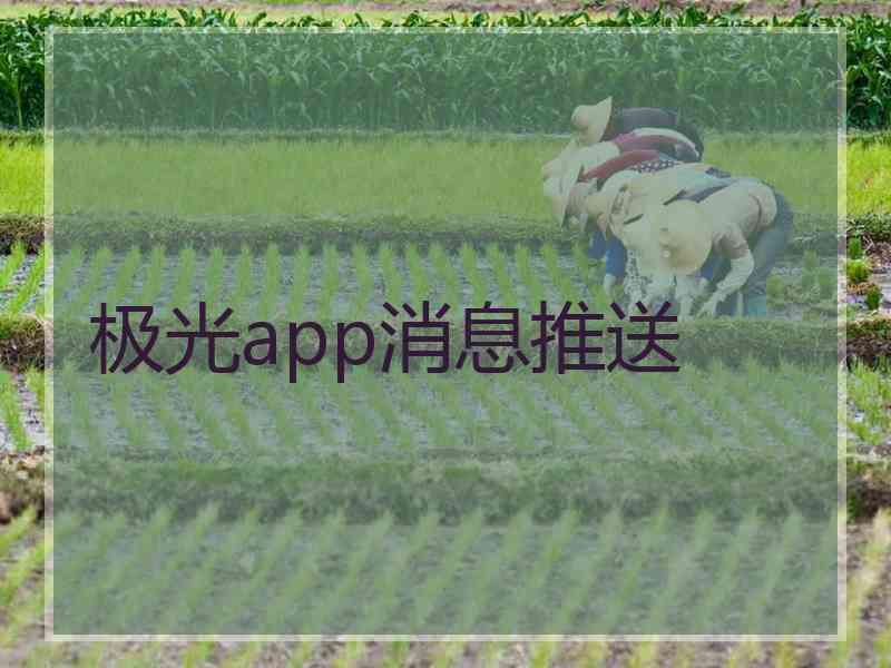 极光app消息推送