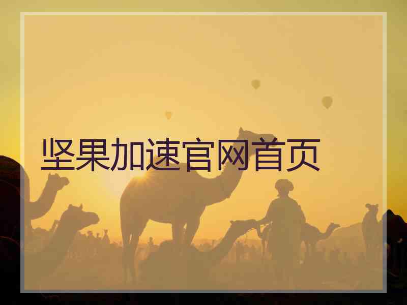 坚果加速官网首页