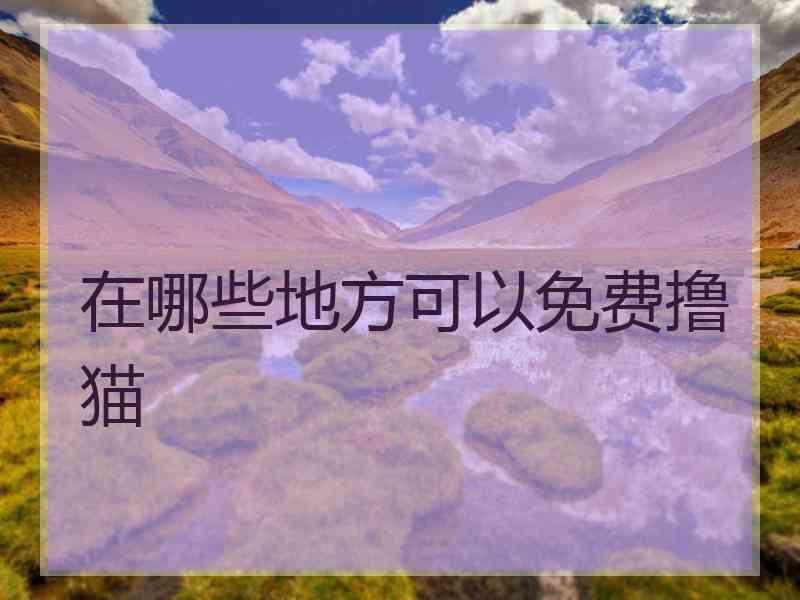 在哪些地方可以免费撸猫