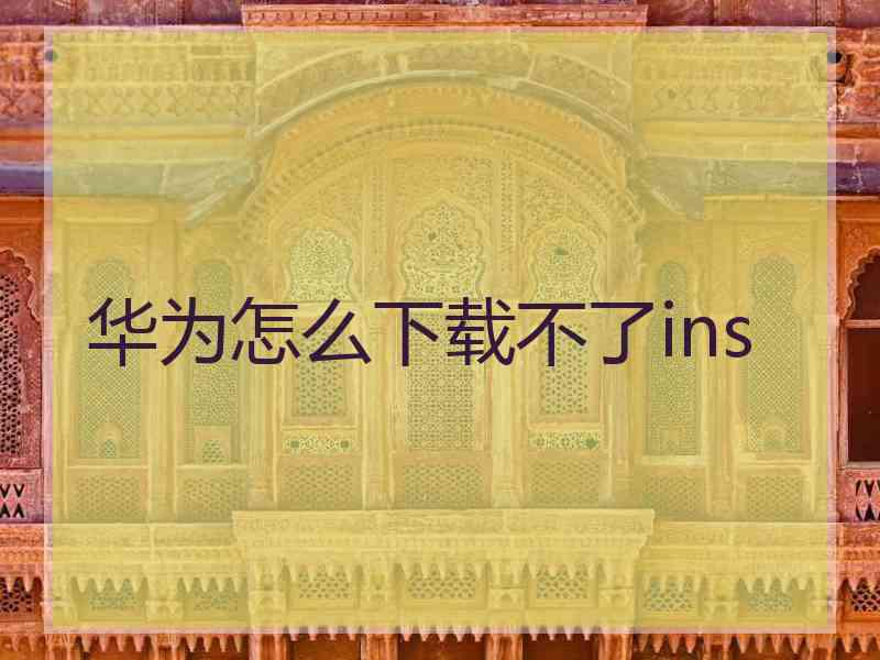 华为怎么下载不了ins