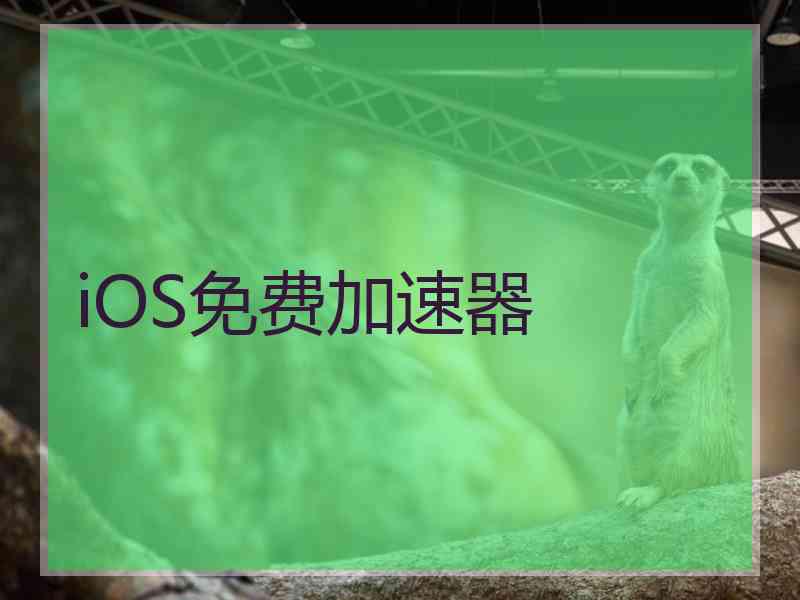 iOS免费加速器