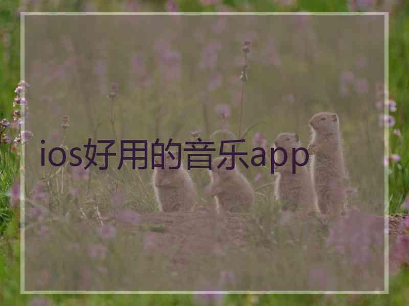 ios好用的音乐app