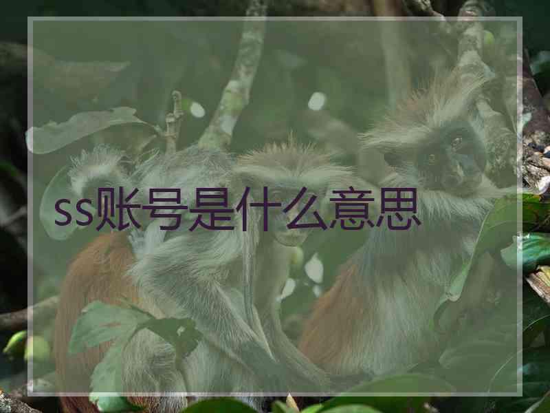 ss账号是什么意思