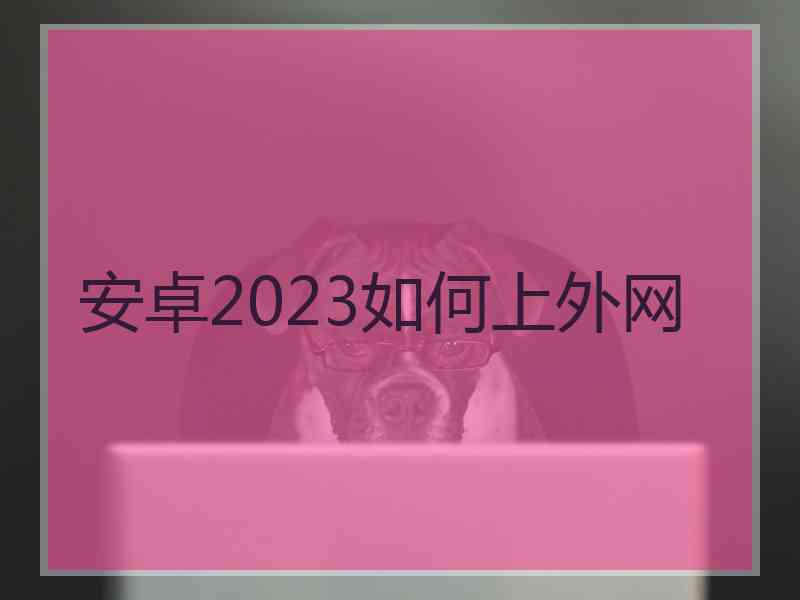 安卓2023如何上外网