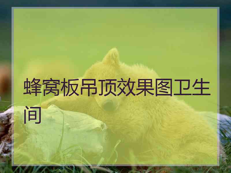蜂窝板吊顶效果图卫生间
