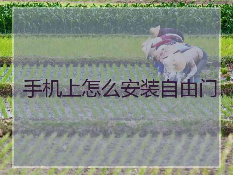 手机上怎么安装自由门