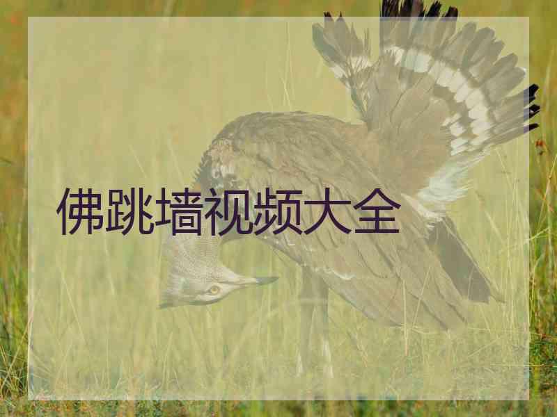 佛跳墙视频大全