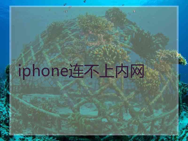 iphone连不上内网