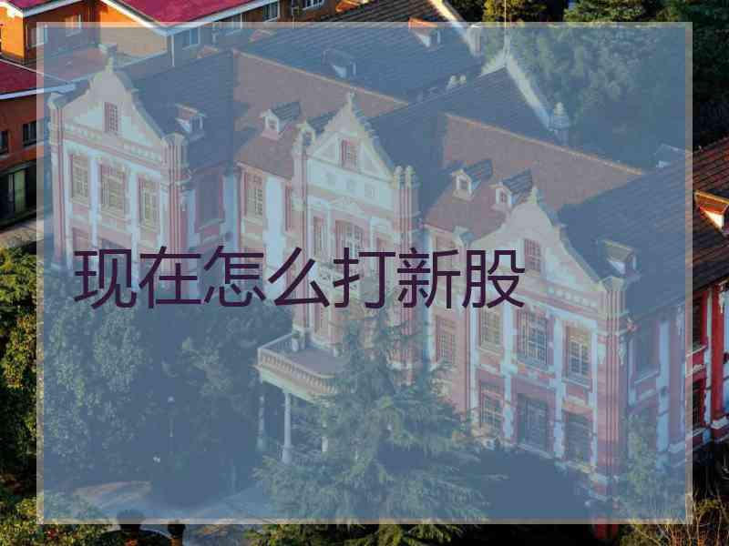 现在怎么打新股