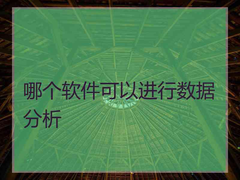 哪个软件可以进行数据分析