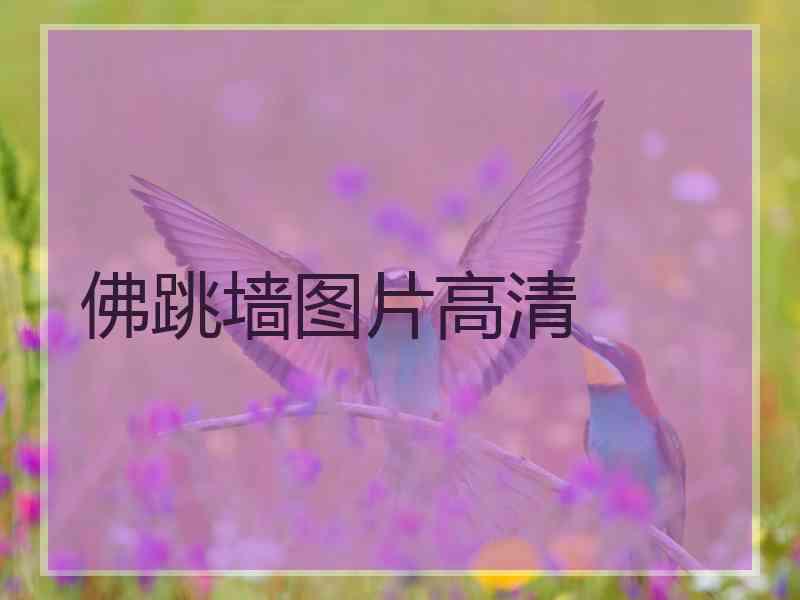 佛跳墙图片高清