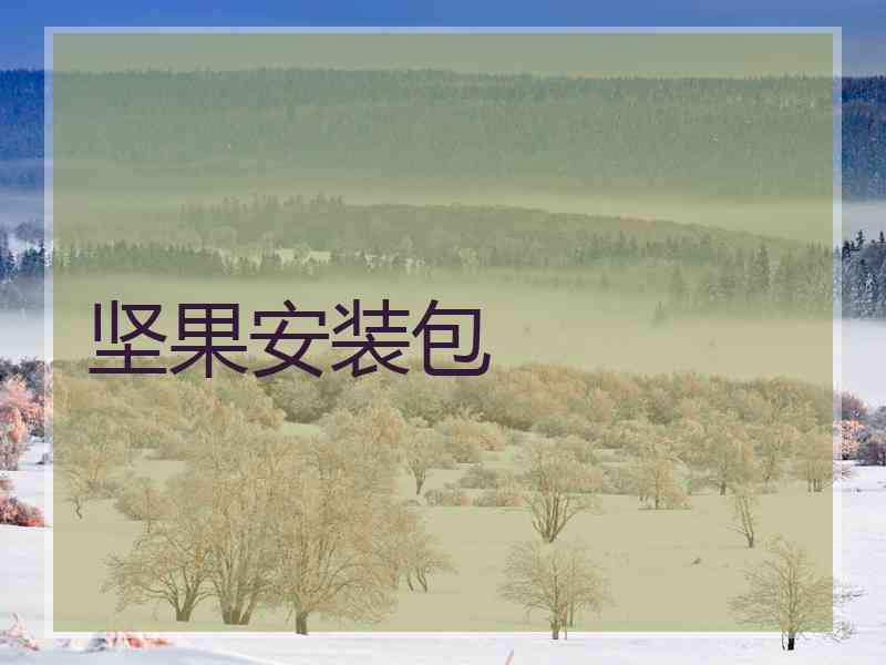 坚果安装包