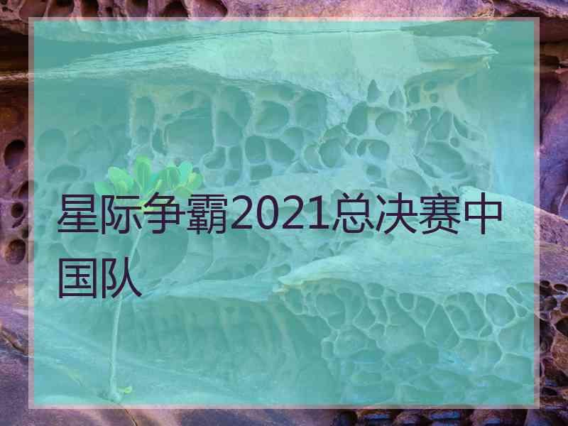 星际争霸2021总决赛中国队