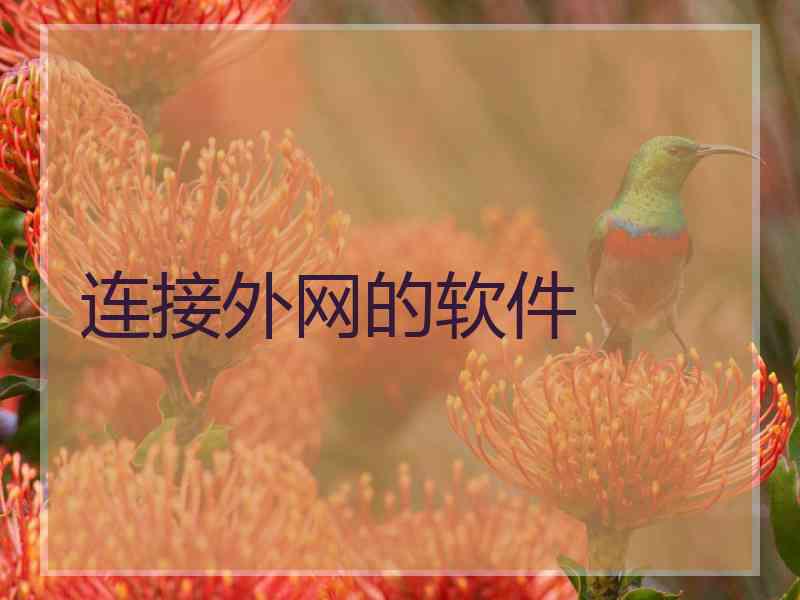 连接外网的软件