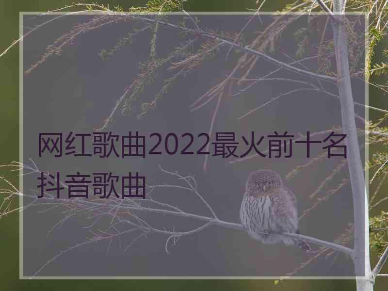 网红歌曲2022最火前十名抖音歌曲