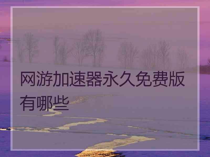 网游加速器永久免费版有哪些