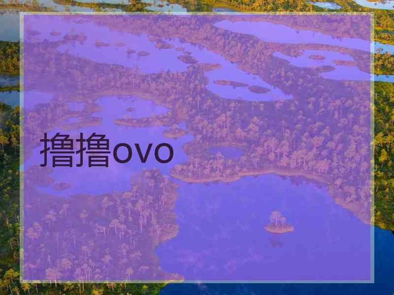 撸撸ovo
