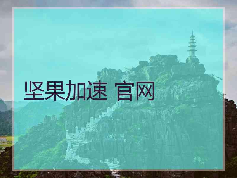 坚果加速 官网