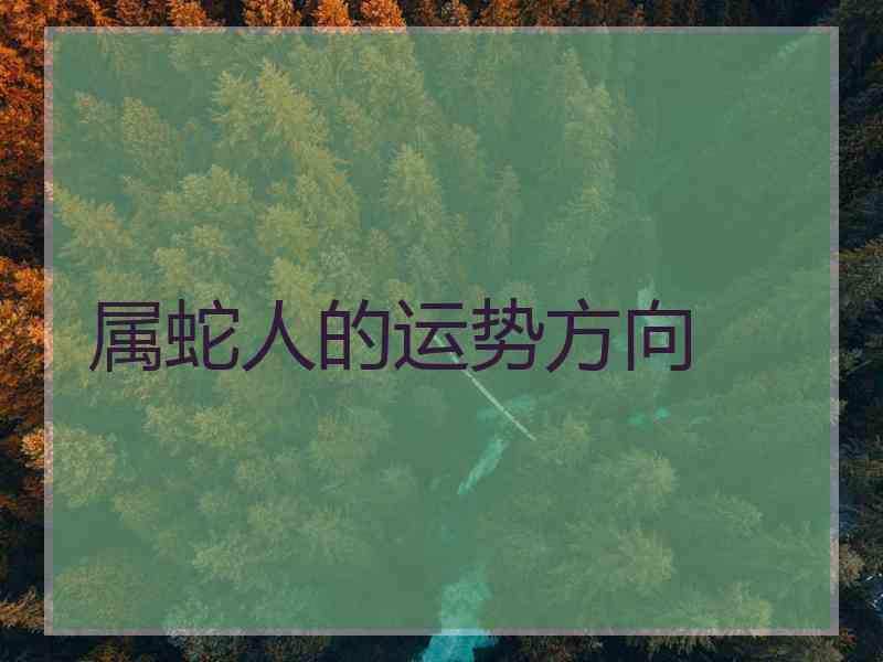 属蛇人的运势方向