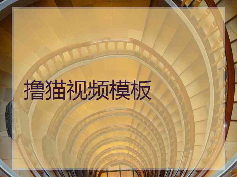撸猫视频模板