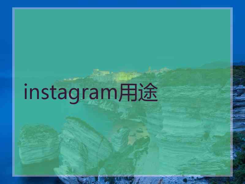 instagram用途