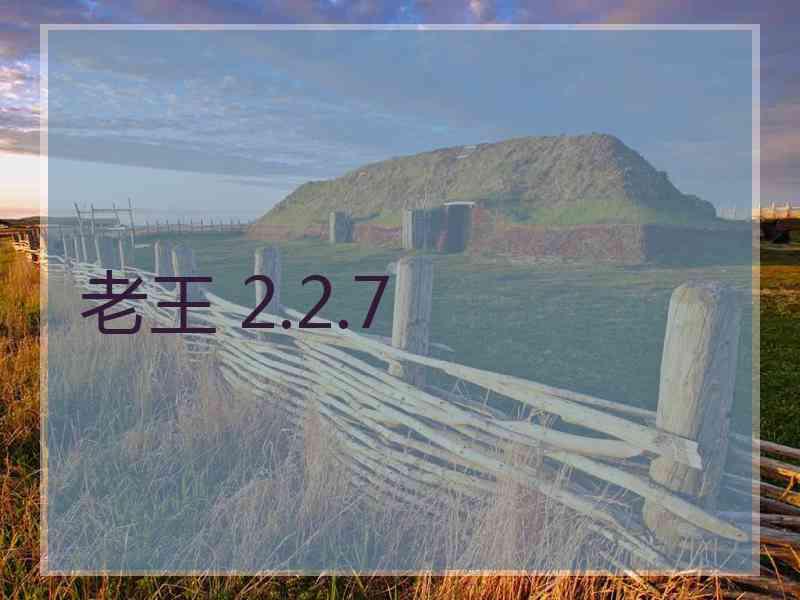 老王 2.2.7